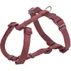 Image de Trixie Hondentuig Premium H-Tuig Sangria Rood - 52-75X2 Cm (L, M, Chien), Collier + laisse