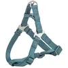 Image de Trixie Hondentuig Premium One Touch Petrol - 50-65X2 Cm (M, Chien, Général), Collier + laisse