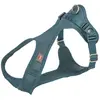Image de Trixie Hondentuig Comfort Soft Touring Petrol - 38-45X1,5 Cm (S, XS, Chien, Promenade), Collier + laisse
