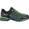 Image de Salewa, Hommes, Chaussures de randonnée, Chaussures MTN Trainer Lite GTX (41), Vert