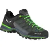 Image de Salewa, Hommes, Chaussures de randonnée, Chaussures MTN Trainer Lite GTX (42), Vert