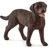 Image de Schleich Labrador Retriever femelle