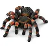 Image de Schleich Tarentule