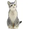 Image de Schleich Chat - Chat