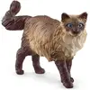 Image de Schleich Ragdoll Kat