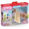 Image de Schleich Kit de Démarrage Kim & Caramelo