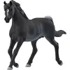 Image de Schleich Araber Hengst