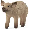 Image de Schleich Porc laineux Porcelet