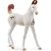 Image de Schleich Marwari Fohlen