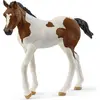 Image de Schleich Poulain Paint Horse