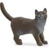 Image de Schleich Chat britannique à poil court