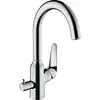 Image de hansgrohe, Robinetterie de cuisine, HG Mitigeur monocommandé pour évier 220 M42 DN 15, avec robinet d'arrêt pour appareil chromé