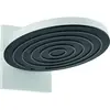 Image de hansgrohe, Pommeau de douche, 24151700 (2 Types de jets, 9 l/min)