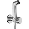 Image de Hansgrohe bidet-handdouche met warmwaterslang 125cm chroom