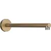 Image de Hansgrohe Pulsify S Douchearm Brushed Bronze