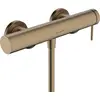 Image de Hansgrohe Tecturis S douchemengkraan 15cm geborsteld brons