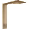 Image de hansgrohe, Pommeau de douche, AXOR ShowerComposition module de douche 250/250, 2jet, avec douchette dépaule, saillie 48 (3 Types de jets, 21.60 l/min)