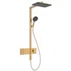 Image de hansgrohe, Système de douche, Raindance Alive Q système de douche 210/340 2jet avec ShowerSelect Comfort, 24590140, 24590140