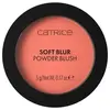 Image de CATRICE Soft Blur Powder Blush Blush