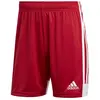 Image de Adidas Short Tastigo 19