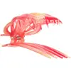 Image de Invisibobble, Barrette + pince à cheveux, Clipstar L - Coral Hug (1 pcs)