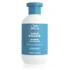 Image de Wella Professionals Invigo Scalp Balance Calm Shampoo