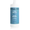 Image de Wella Professionals Balance Pure Purifying Shampoo