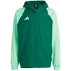 Image de Adidas, Hommes, Vestes de survêtement, Tiro 23 Competition Veste tout temps Homme (S), Vert, S