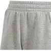 Image de Adidas, Garçons, Bas de sport, TIRO24 SWSHO Y (128), Gris, Blanc, Argent