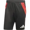Image de Adidas, Hommes, Bas de sport, TIRO24 C TR SHO (XL), Noir, Rouge