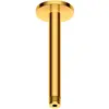 Image de Duravit, Système de douche, Deckenanschluss rd Ros 200 Anschlussgrösse DN 15 go pol gold poliert