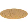 Image de Duravit, Pommeau de douche, Douche de tête 1jet 300, UV0660020004, UV0660020004 (1 Type de jet, 25.50 l/min)