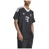 Image de Adidas T-shirt à Manches Courtes Gardien De But Third Fc Bayern Munich 24/25