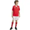 Image de Adidas Shorts Junior Domicile Benfica 24/25