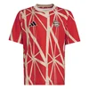 Image de Adidas T-shirt Manches Courtes Junior Avant-match Fc Bayern Munich 24/25