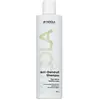 Image de Indola, Shampoing, Shampooing Anti-Dandruff Care & Style (Shampoing anti-poux, 300 ml)