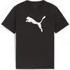 Image de Puma, Garçons, T-shirt de sport, teamRISE Logo Jersey Cotton Jr (116), Noir, 116