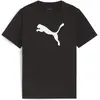 Image de Puma, Garçons, T-shirt de sport, teamRISE Logo Jersey Cotton Jr (176), Noir, 176