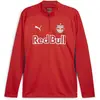 Image de Puma, Hommes, T-shirt de sport, Top RBS Training 1/4 Zip (XS), Rouge, XS