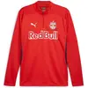 Image de Puma, Hommes, T-shirt de sport, Top RBS Training 1/4 Zip (L), Bleu, Rouge, L
