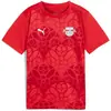 Image de Puma, Garçons, Maillot de football, RBL Prematch SS Jersey Jr (164), Rouge, 164