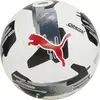Image de Puma, Ballon de football, (5)