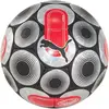 Image de Puma, Ballon de football