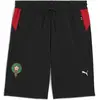 Image de Puma, Hommes, Bas de sport, FRMF PUMATECH Shorts 6" WV (L), Noir