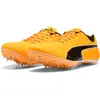 Image de Puma, Unisexe, Chaussures de course à pied, evoSPEED Sprint 14.5 (39), Orange, Blanc