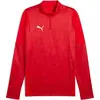 Image de Puma, Hommes, Pull-over, teamCUP Training 1/4 Zip Top, Argent, Rouge, (L)