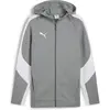 Image de Puma, Hommes, Pull-over, Veste à capuche teamEVOSTRIPE, Blanc, Argent, Gris, (XL)