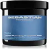 Image de Sebastian, Masque capillaire, Professional Hydre Intensely Hydrating Treatment Mask 500ml (500 ml)