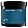 Image de Sebastian Professional Twisted Elastic Curls Mask Haarmasker