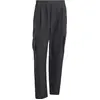 Image de Adidas, Hommes, Pantalon outdoor, Cargo Pants - black (L), Noir